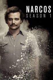 Narcos: Season 1