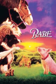 Babe – świnka z klasą