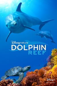 Dolphin Reef zalukaj online