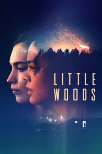 Little Woods zalukaj online
